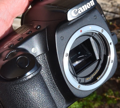interchangeable lenses
