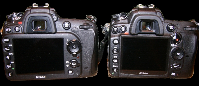 Nikon d7100 vs d7000