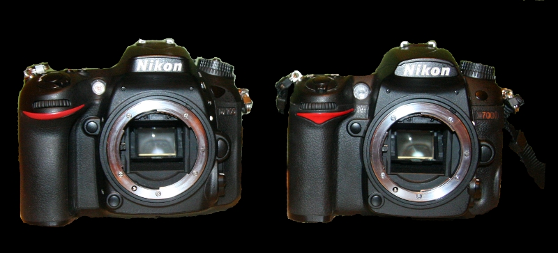 Nikon d7100 vs d7000