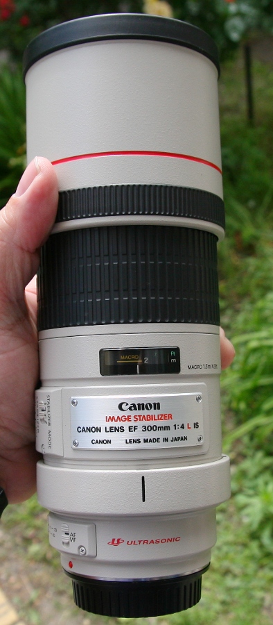 Canon 300 f4 is usm L