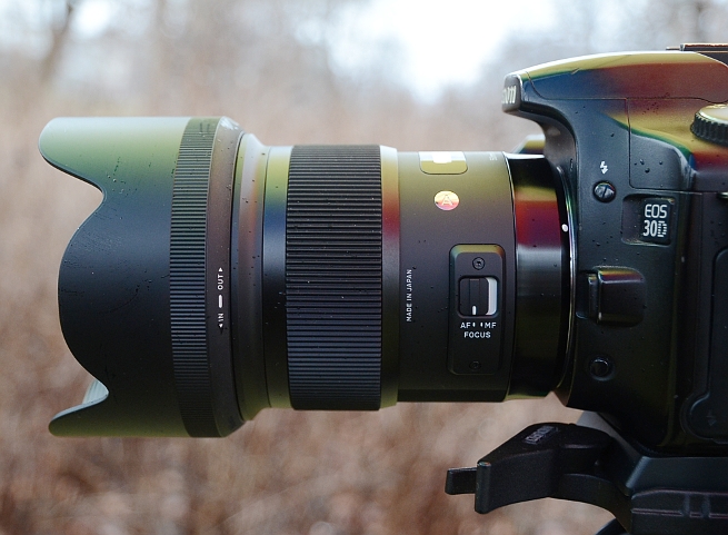 Sigma 50mm f1.4 Art review