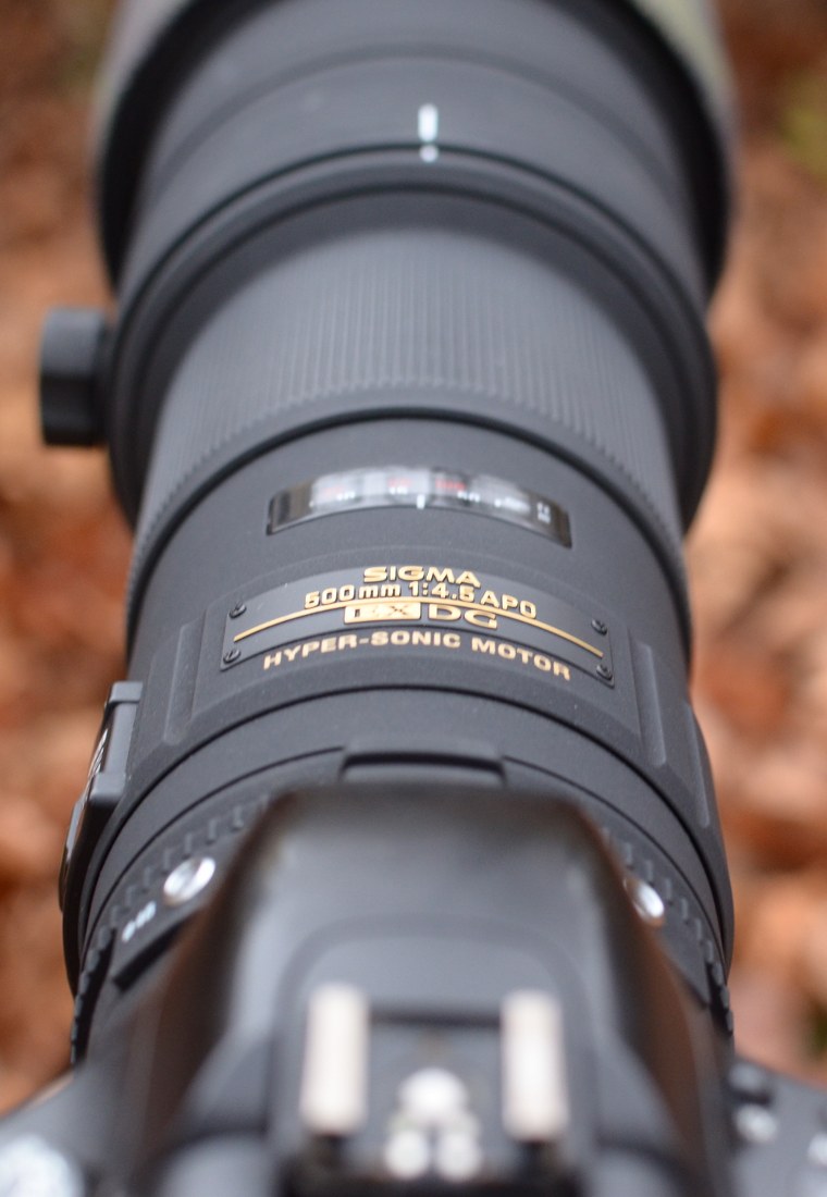 Sigma 500mm f4.5
