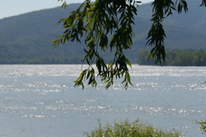 Danube-bend