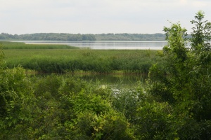 Tisza lake