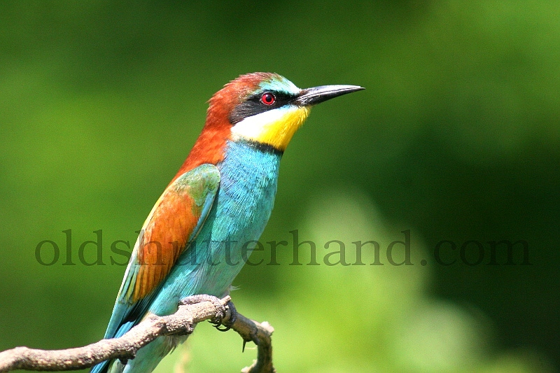 9838_2148.JPG 9838_2148.JPG