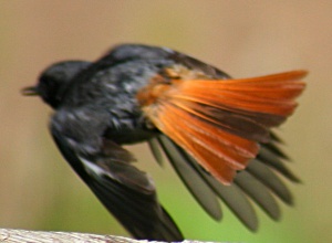 img_9867 .jpg