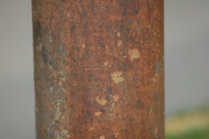 Zoom in IMG_9519.JPG