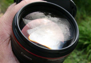 Zoom in IMG_9507.JPG
