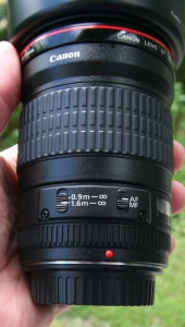 Zoom in IMG_9504.JPG