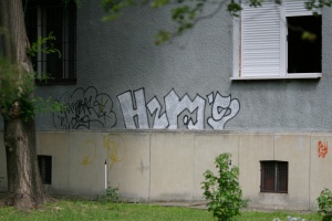 Zoom in IMG_9525.JPG