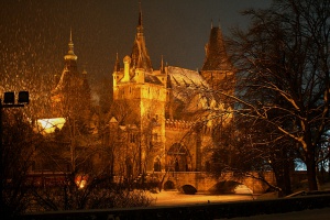 Zoom in Vajdahunyad castle