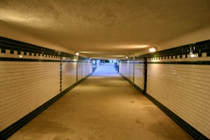 Zoom in img_7150.jpg