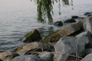 Zoom in img_2657.jpg