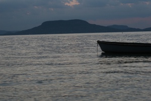 Zoom in img_2653.jpg