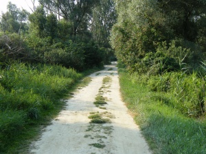 Balatonberény road