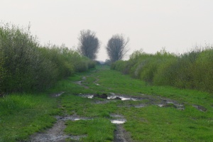 Zoom in Southwest Hungary area