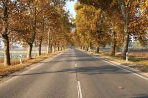 Zoom in Road No 5 from Budapest