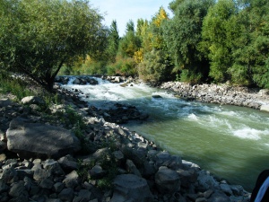 Zoom in Százhalombatta stream