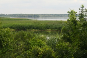 Zoom in Tisza lake