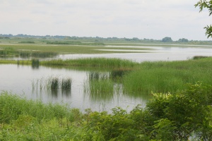 Zoom in Tisza lake